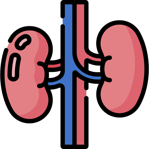 腎臓 Special Lineal color icon