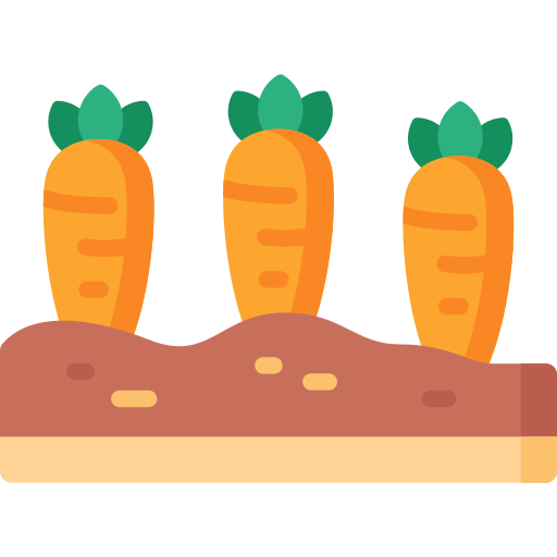 Carrots Special Flat icon