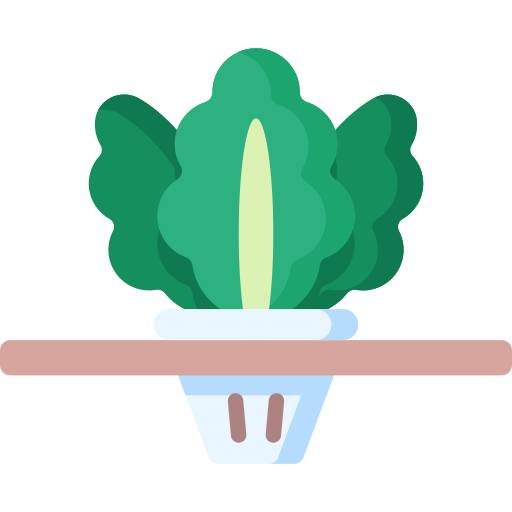 Vegetable Special Flat icon