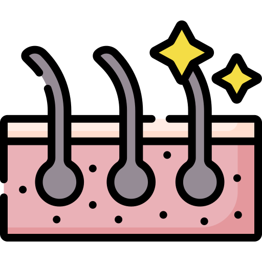 dermis Special Lineal color icon