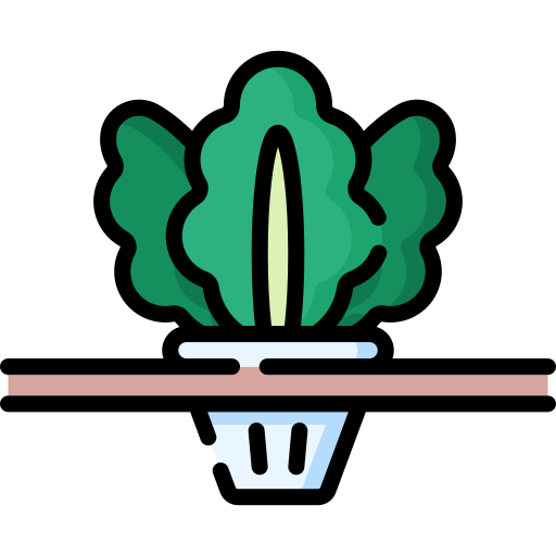 verdura Special Lineal color icona