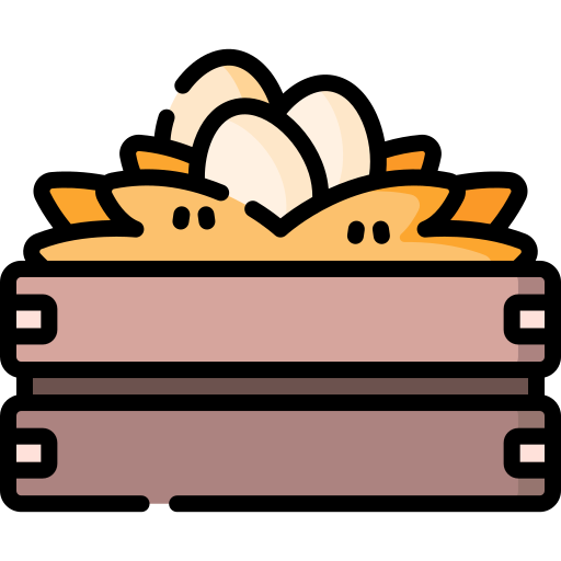달걀 Special Lineal color icon