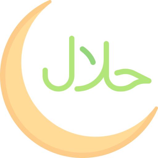 Crescent moon Special Flat icon