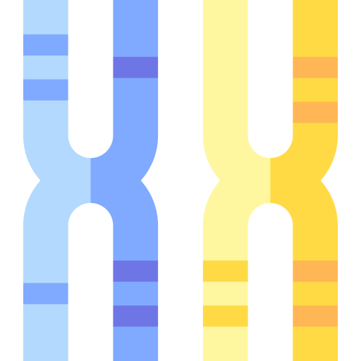 cromosoma Basic Straight Flat icono