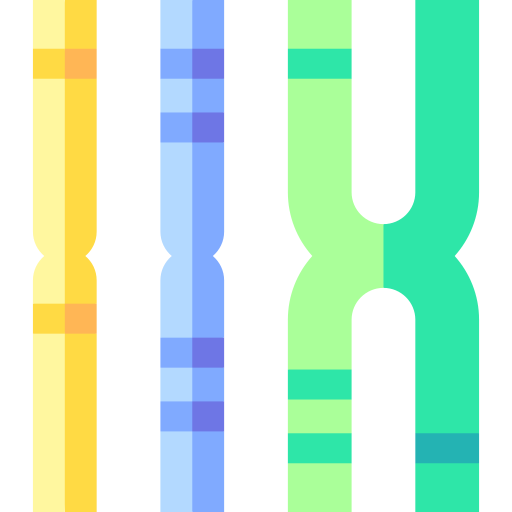 cromosoma Basic Straight Flat icona