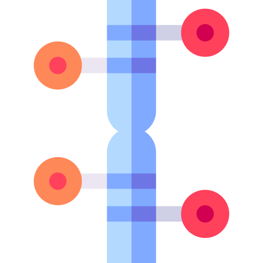 chromosome Basic Straight Flat Icône
