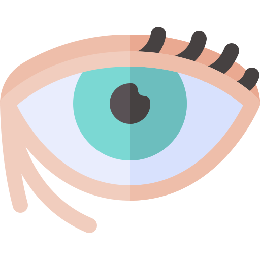 ojo Basic Rounded Flat icono