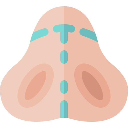 rhinoplastie Basic Rounded Flat Icône
