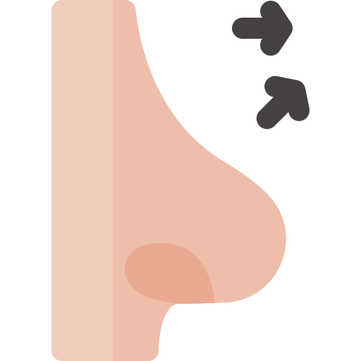 rinoplastia Basic Rounded Flat Ícone