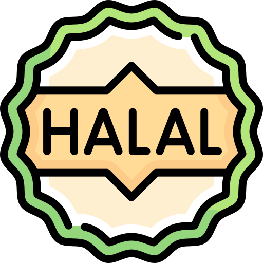 Halal Special Lineal color icon