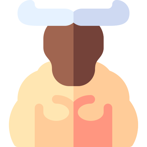 minotauro Basic Rounded Flat icono