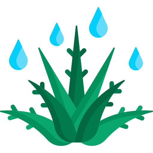 Aloe vera Special Flat icon
