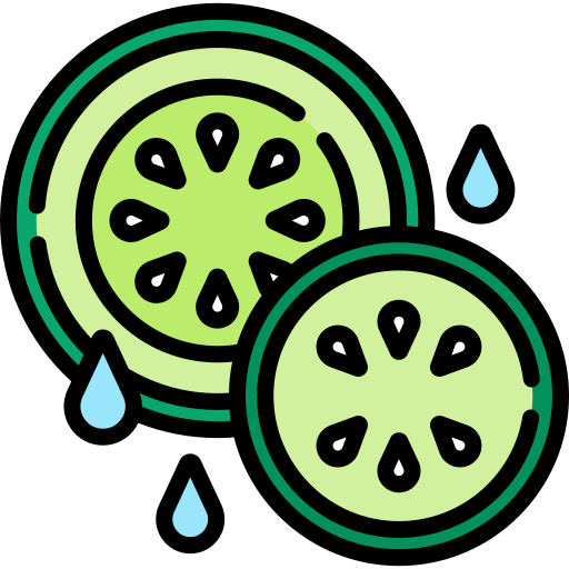 Cucumber Special Lineal color icon