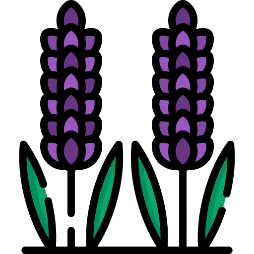 Lavender Special Lineal color icon