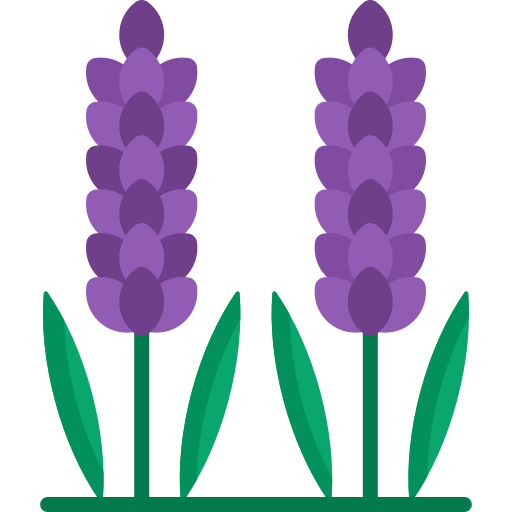 lavendel Special Flat icon