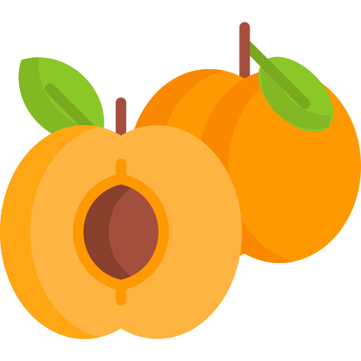 abricot Special Flat Icône