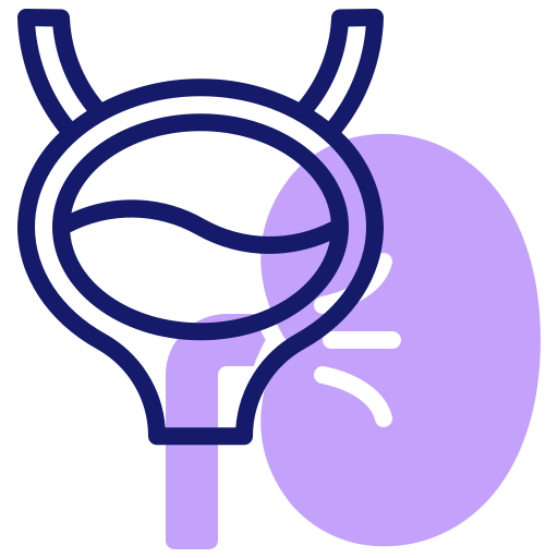pęcherz moczowy Inipagistudio Lineal Color ikona
