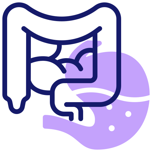 intestino Inipagistudio Lineal Color icono