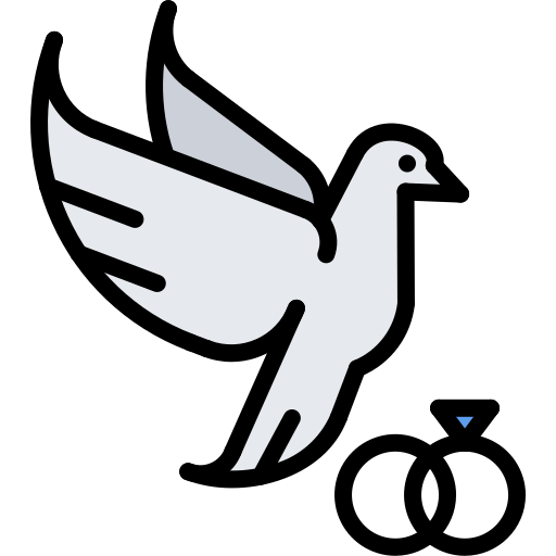 Dove Coloring Color icon