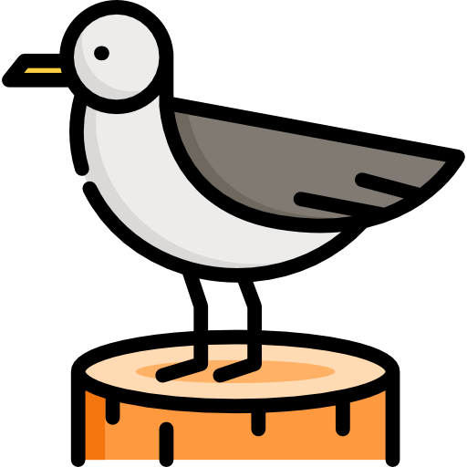 möwe Special Lineal color icon