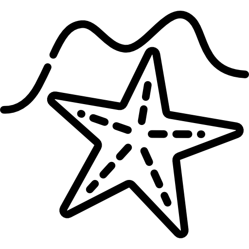 Starfish Special Lineal icon