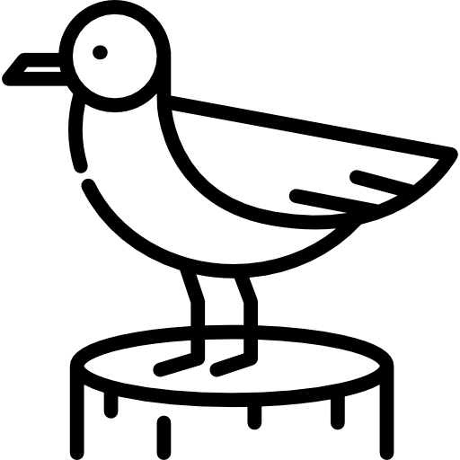 Seagull Special Lineal icon