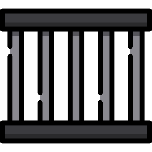 käfig Special Lineal color icon