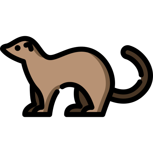 Ferret Special Lineal color icon