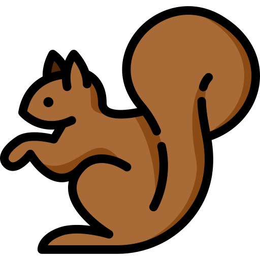 Squirrel Special Lineal color icon