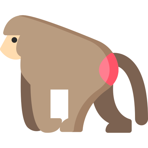 babuino Special Flat icono