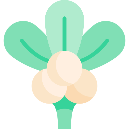 Mistletoe Kawaii Flat icon
