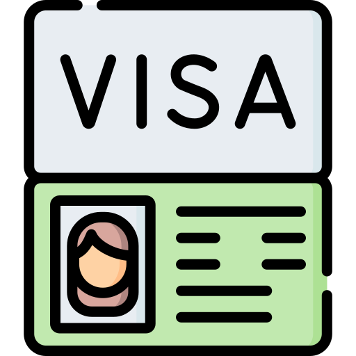 Visa Special Lineal color icon