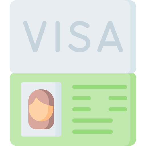 visa Special Flat icon