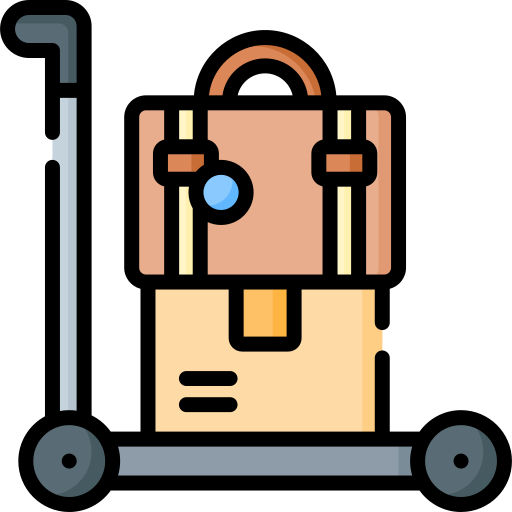 Baggage Special Lineal color icon