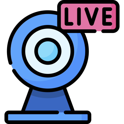 webcam Special Lineal color Icône