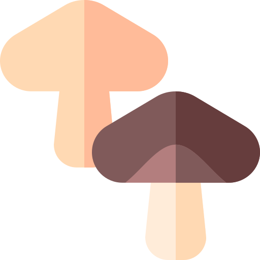 Mushrooms Basic Straight Flat icon
