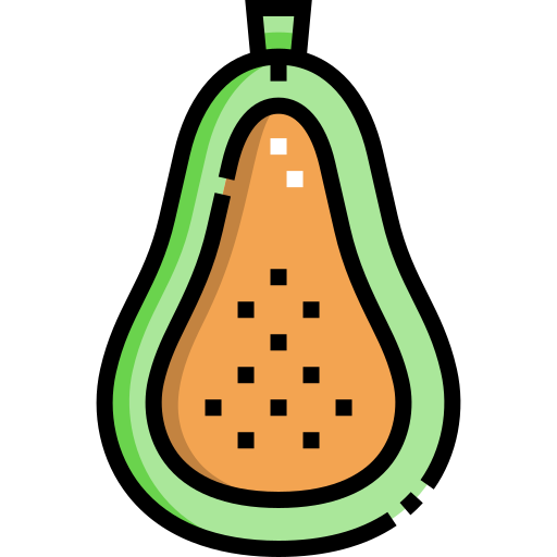 papaya Detailed Straight Lineal color icon