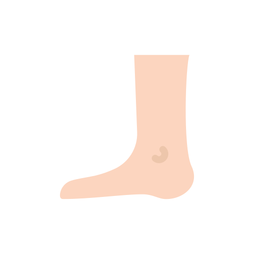 voet Good Ware Flat icoon