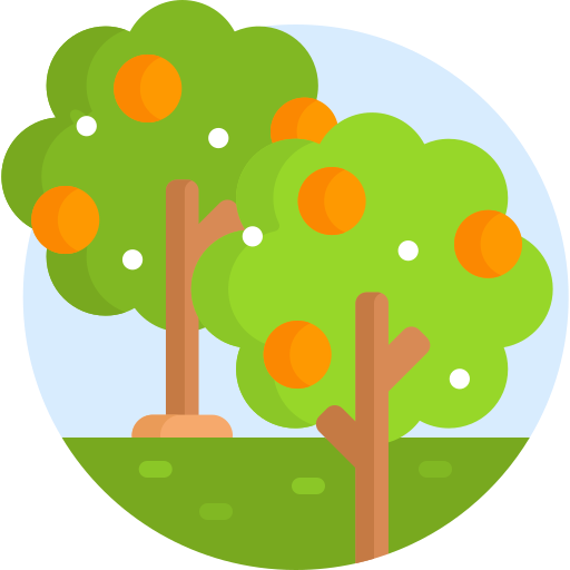Fruit tree Detailed Flat Circular Flat icon