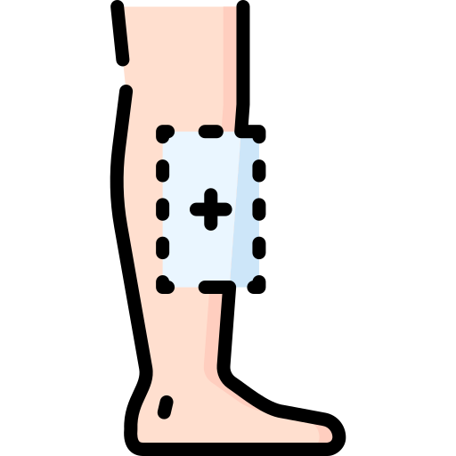 Leg Special Lineal color icon