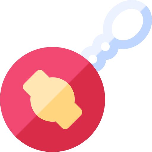 Keychain Basic Rounded Flat icon