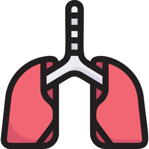 polmoni Generic Outline Color icona