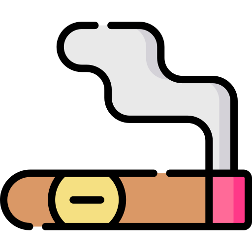 Cigar Special Lineal color icon