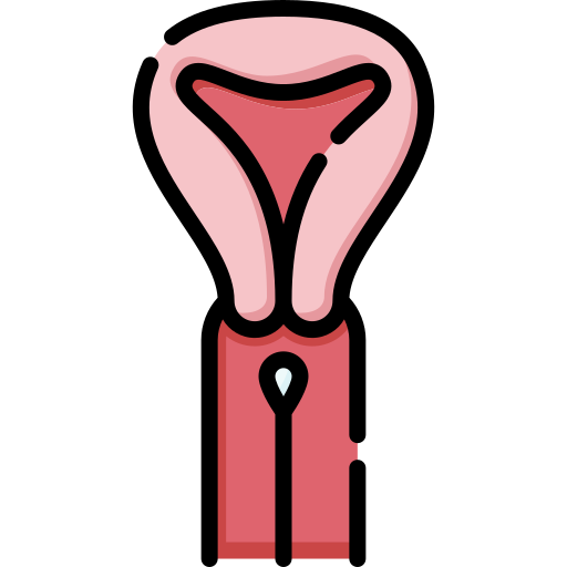 pap test Special Lineal color icona