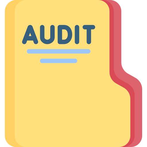 Audit Special Flat icon