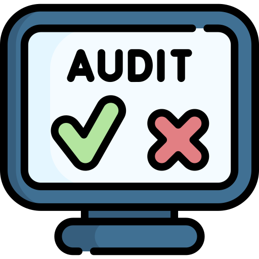 Audit Special Lineal color icon