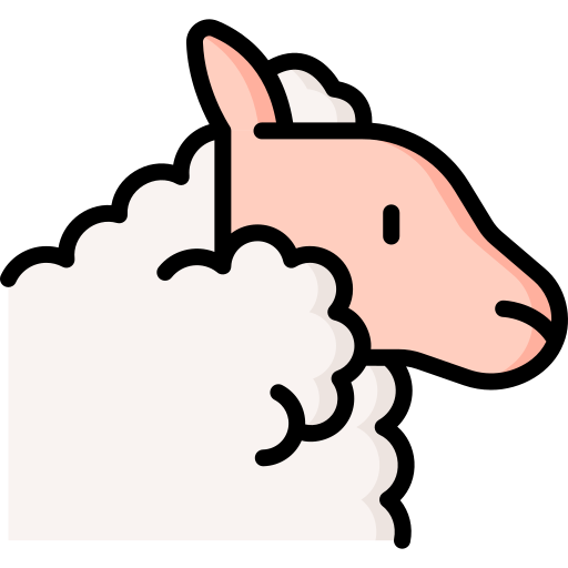 Sheep Special Lineal color icon