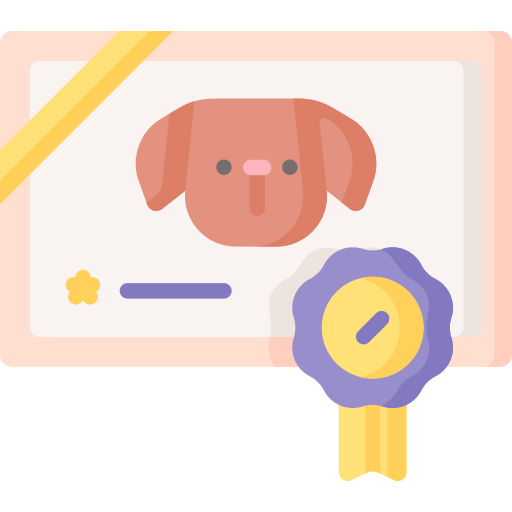 Certificate Special Flat icon