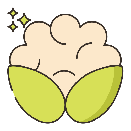 Cauliflower Flaticons Lineal Color icon