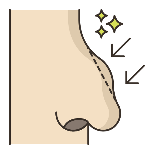 Нос Flaticons Lineal Color иконка